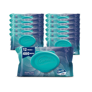 Charmin Flushable Wipes, 480 Total Wipes (12 Packs of 40), Soft & Strong, Convenient & Hygienic for On-the-Go Freshness