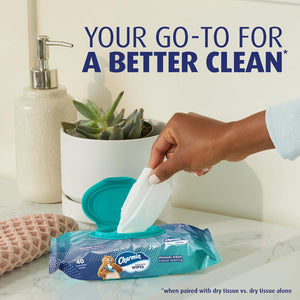 Charmin Flushable Wipes, 160 Total Wipes, 4 Packs of 40, Gentle & Safe for Skin, Flushable Wet Wipes