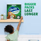 Charmin Ultra Gentle Toilet Paper, 6 Count Mega Rolls, Pack of 4, Total 24 Mega Rolls (96 Regular Rolls)