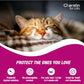 Cheristin Flea Treatment for Cats Over 1.8 lbs, Fast-Acting, Topical, 6 Ct Pack, Vet-Recommended