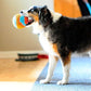 Chuckit Indoor Fetch Ball 4.75 Inch Dog Toy Orange and Blue Interactive Soft Play for Dogs