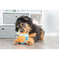 Chuckit Indoor Fetch Ball 4.75 Inch Dog Toy Orange and Blue Interactive Soft Play for Dogs