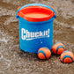 Chuckit Ultra Ball Medium Dog Fetch Toys with Cleaning Bucket 2.5 Inch Balls Pack of 8 for 20 to 60 lb Dogs