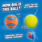 Chuckit Ultra Ball Medium Dog Fetch Toys with Cleaning Bucket 2.5 Inch Balls Pack of 8 for 20 to 60 lb Dogs
