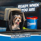 Chuckit Ultra Ball Medium Dog Fetch Toys with Cleaning Bucket 2.5 Inch Balls Pack of 8 for 20 to 60 lb Dogs