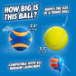 Chuckit Ultra Squeaker Balls for Dogs Medium Size 2.5” Pack of 2 Bouncy & Durable