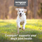 Cosequin Joint Supplement for Dogs with Glucosamine Chondroitin MSM Omega 3s 120 Ct