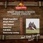 Cowdog Chews Retriever Roll Dog Treats 9 to 10 Inch All Natural Rawhide 20 Pack Long Lasting Chews for Aggressive Chewers
