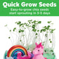 Creativity for Kids Unicorn Terrarium Mini Garden Kit for Girls Unique Gift Arts and Crafts Ages 6+
