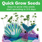 Creativity for Kids Mermaid Terrarium Kit, Mini Garden Craft Toy, STEM Gift for Girls Ages 6+