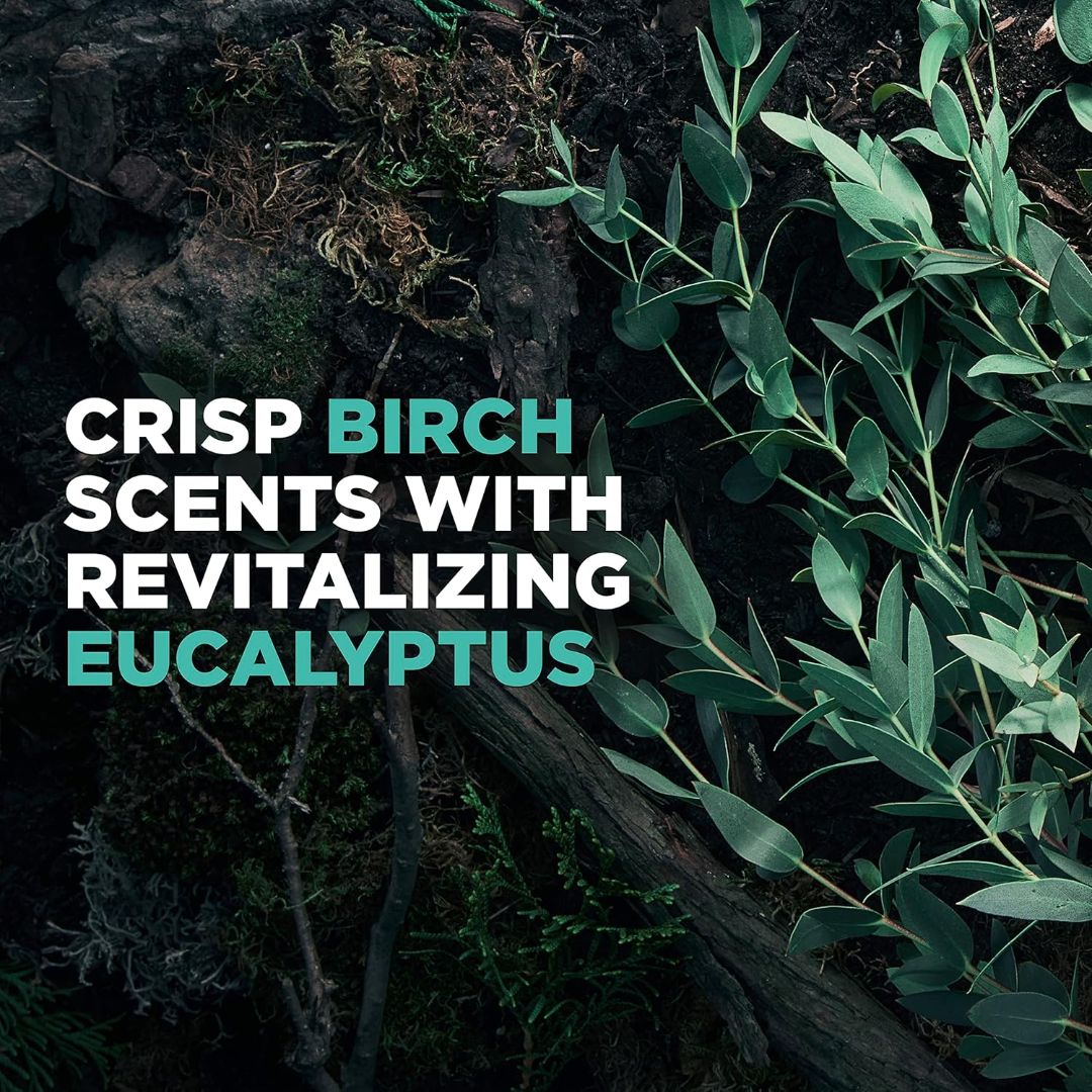 Dove Men +Care Eucalyptus + Birch Revitalizing 2-In-1 Shampoo + Conditioner 355ml,079400475510,