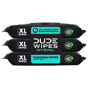 Dude Wipes Flushable Wipes, Extra Large, 3-Pack, 144 Wipes Total, Mint Chill Scent, Vitamin E, Aloe, Eucalyptus, and Tea Tree Oils, Sewer-Safe