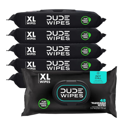 Dude Wipes Flushable Wipes, Mint Chill, 6-Pack (288 Wipes), Extra-Large Adult Wet Wipes with Vitamin E, Aloe, Eucalyptus & Tea Tree Oils, Septic & Sewer Safe