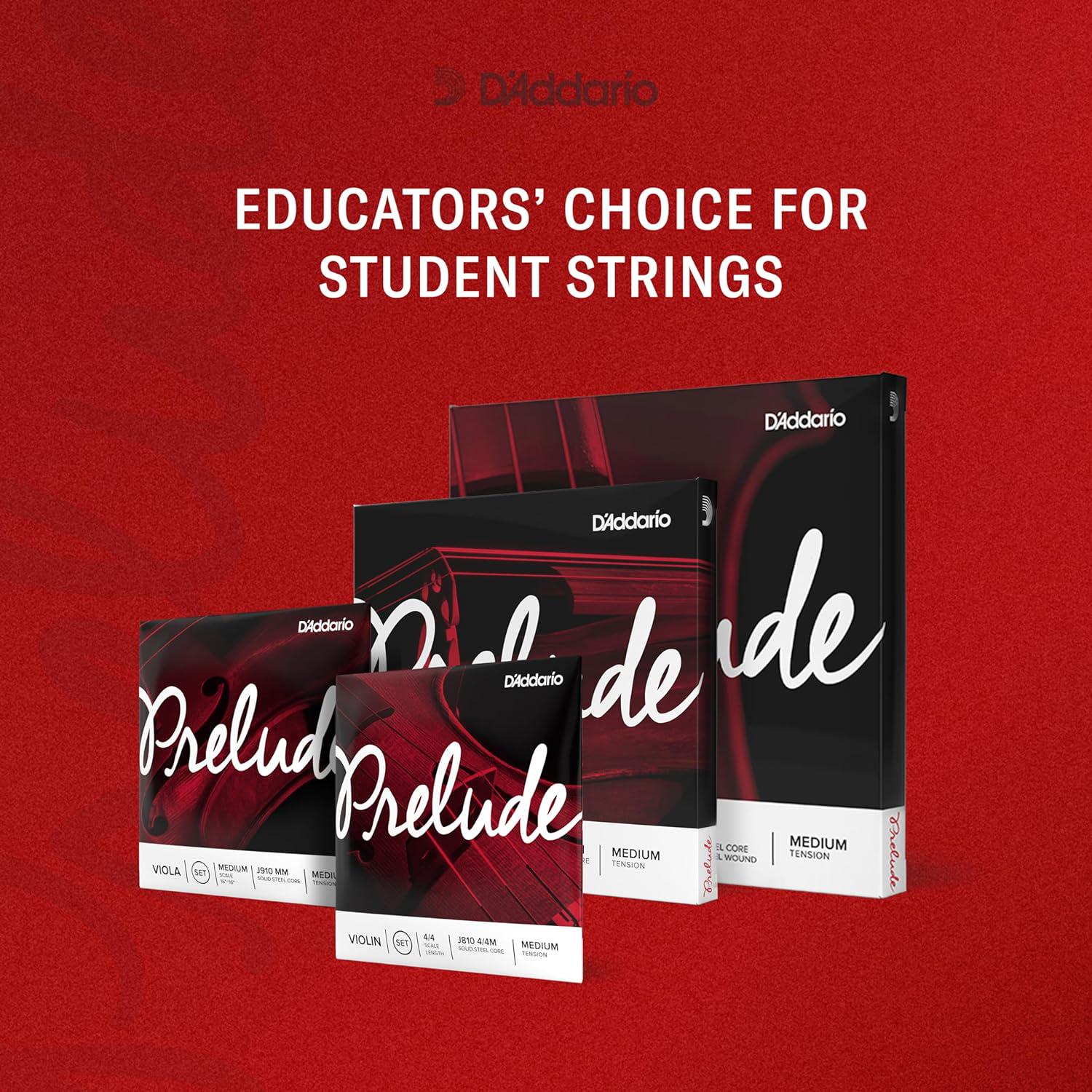 D'Addario Prelude Violin String Set, 1/8 Scale, Medium Tension J810 1/8M - Solid Steel Core, Warm Tone, Economical And Durable Educator S Choice For Student Strings 1 Set,