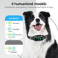 Rechargeable Dog Bark Collar, 5 Sensitivity Levels, Beep & Vibration, Anti-Bark for Small Medium Large Dogs
