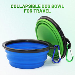 Collapsible Pet Bowls 2 Pack Small Blue and Green Feeding and Watering Bowls with Carabiners for Travel