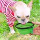 Collapsible Pet Bowls 2 Pack Small Blue and Green Feeding and Watering Bowls with Carabiners for Travel