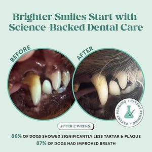 Dog Breath Freshener Powder, Plaque & Tartar Removal with Postbiotics & Mint, 30 Servings
