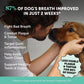 Dog Breath Freshener Powder, Plaque & Tartar Removal with Postbiotics & Mint, 30 Servings