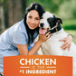 Chicken jerky dog treats 16 oz pack of 1, made with 100% real chicken breast, high protein, long-lasting, healthy and easily digestible chew snacks