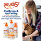 Douxo S3 PYO Antiseptic Pet Shampoo for Dogs & Cats, 6.7 oz, Treats Skin Infections, Hydrating