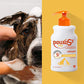 Douxo S3 PYO Antiseptic Pet Shampoo for Dogs & Cats, 6.7 oz, Treats Skin Infections, Hydrating