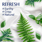 Downy Downy Infusions In-Wash Scent Booster Beads, Refresh, Birch Water And Botanicals, 24 Oz