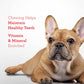 DreamBone Twisties Triple Flavor Dog Chews 7.05 oz 25 Count Real Beef Pork Chicken Rawhide Free
