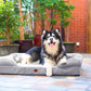 Eheyciga Orthopedic Large Dog Bed with Memory Foam Sides Washable Cover Non Slip Grey