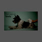 Earth Rated Lavender Pet Wipes, 100 Ct, Hypoallergenic Grooming Wipes for Dogs & Cats