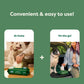 Earth Rated Pet Wipes White Tea Basil Scent Hypoallergenic Grooming Wipes for Dogs and Cats 100 Count