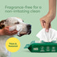 Earth Rated Pet Eye Wipes 70 Count Fragrance Free Hypoallergenic Cleaner for Dogs and Cats Tear Stains