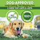 EcoKind Premium Yak Cheese Dog Chews Large 1 lb Pack 4 Natural Long Lasting Treats for Aggressive Chewers