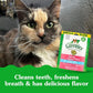 Feline Greenies Dental Cat Treats, Salmon Flavor, Mega Size 4.6 oz, Cleans Teeth & Freshens Breath
