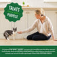 FELINE GREENIES SMARTBITES HEALTHY INDOOR Natural Treats For Cats, Chicken Flavor, 4.6 Oz. Pouch,
