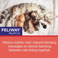 Feliway Multicat Calming Diffuser Kit 48ml 30 Day Plug In Reduces Conflict in Multi Cat Homes
