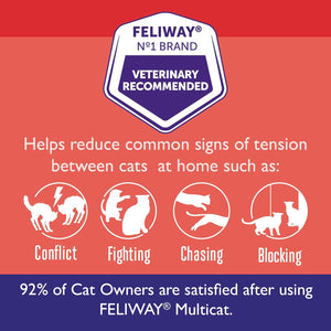 Feliway Multicat Calming Refills 3 Pack 48ml Each Reduces Tension in Multi Cat Households
