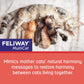 Feliway MultiCat Calming Refills 6 x 48 ml 30 Day Each Helps Reduce Cat Conflicts and Tension in Multi Cat Homes