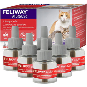 Feliway MultiCat Calming Refills 6 x 48 ml 30 Day Each Helps Reduce Cat Conflicts and Tension in Multi Cat Homes