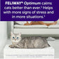 Feliway Optimum Cat Calming Refills, 6 x 48 ml, 30-Day Refills for Diffuser, Stress & Anxiety Support