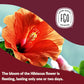 FGO Organic Hibiscus Tea, 100 Count Eco-Conscious Tea Bags, Caffeine-Free, Packaging May Vary