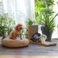 FUKUMARU L Shape Cat Scratcher Wall Mounted 26.8 Inch with Ball Toy and Cardboard Pad for Indoor Cats