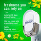 Febreze Plug-In Air Freshener Odor-Fighting Scented Oil Starter Kit, Long-Lasting for Strong Odors, Gain Original Scent Warmer, 2 Refill Pack