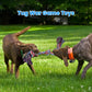 Feeko Heavy Duty Dog Rope Toys, 2-Pack for Aggressive Chewers, Large Breed Tug of War Set