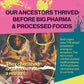 Primal Queen Female-Optimized Beef Organ Superfood Supplement (Beef Liver, Kidney, Heart, And 3 More) - 100% Grass Fed, Pasture Raised Cattle - Balance Hormones, Energy, And More For Women