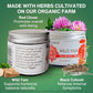Four Elements Wild Yam Balancing Cream, 2 oz, Herbal Formula, Award-Winning Skincare, Crafted in USA, Natural Support