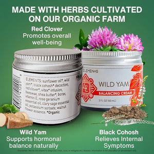 Four Elements Wild Yam Balancing Cream, 2 oz, Herbal Formula, Award-Winning Skincare, Crafted in USA, Natural Support