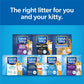 Fresh Step Unscented Clumping Cat Litter, 14 lb Box, Activated Charcoal, Low Dust & Odor Control