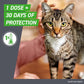 Frontline Plus Flea and Tick Treatment for Cats Over 1.5 lbs Waterproof 6 Dose Pack