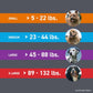 Frontline Plus Flea and Tick Treatment for Small Dogs 5 22 lbs 6 Monthly Treatments